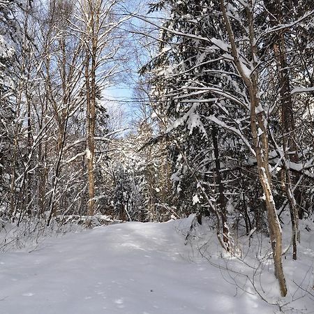 La Taniere De L'Ours Hotel Saint-Donat-de-Montcalm Luaran gambar