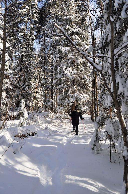 La Taniere De L'Ours Hotel Saint-Donat-de-Montcalm Luaran gambar