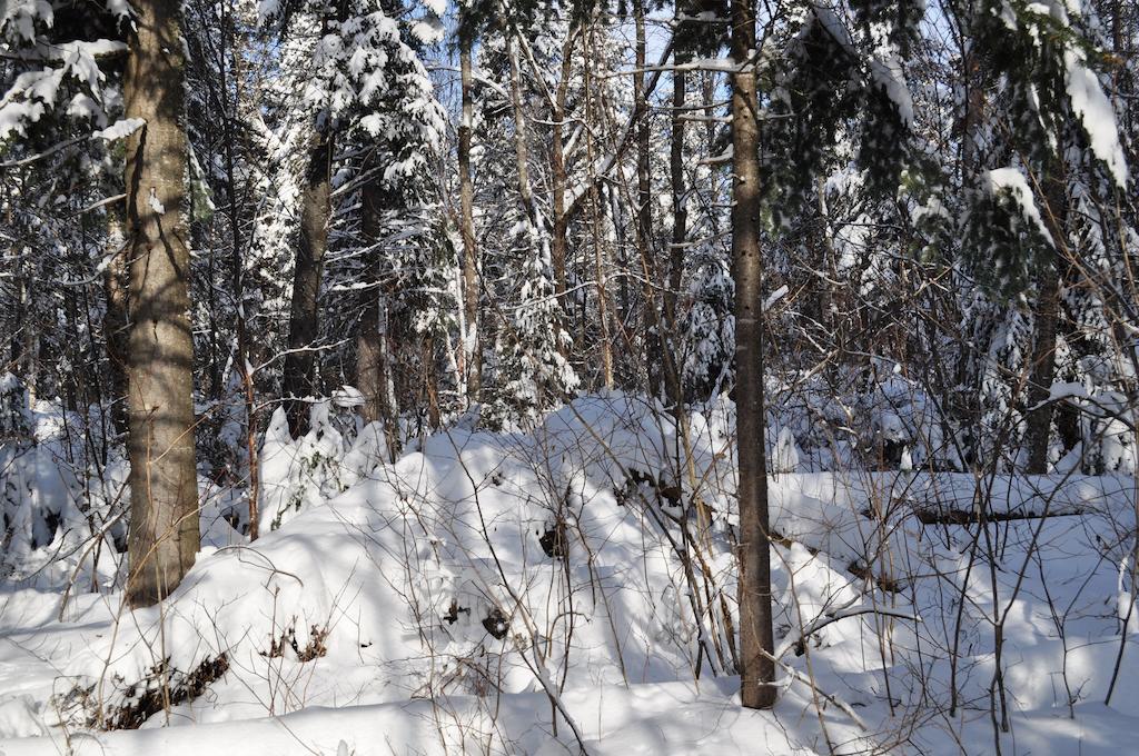 La Taniere De L'Ours Hotel Saint-Donat-de-Montcalm Luaran gambar