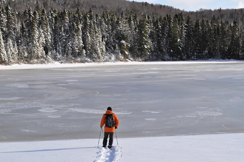 La Taniere De L'Ours Hotel Saint-Donat-de-Montcalm Luaran gambar