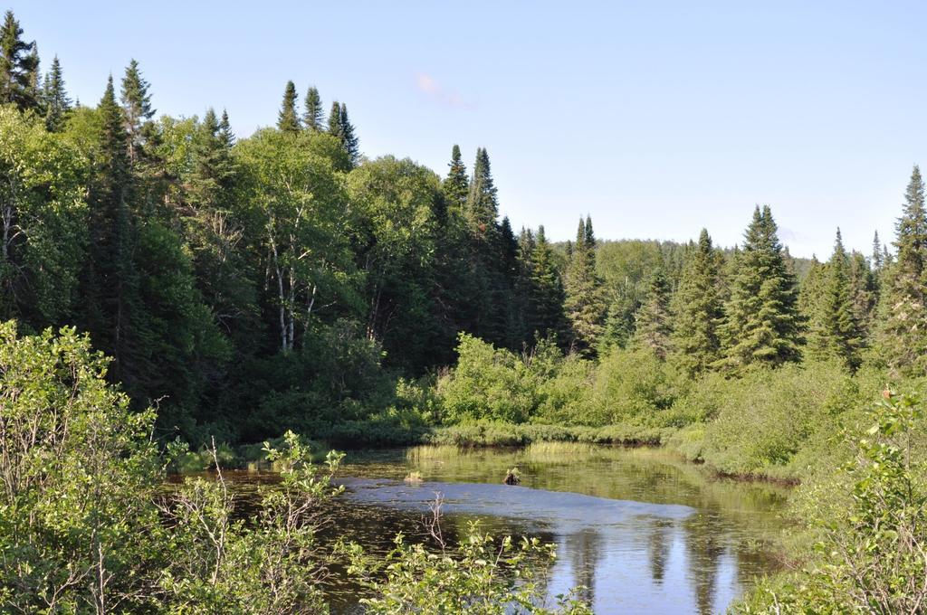 La Taniere De L'Ours Hotel Saint-Donat-de-Montcalm Luaran gambar